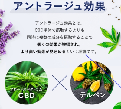 ���{��CBD�u�����h�uroun�i���E���j�v �̔��T�C�g��